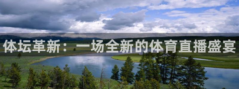 体坛革新：一场全新的体育直播盛宴