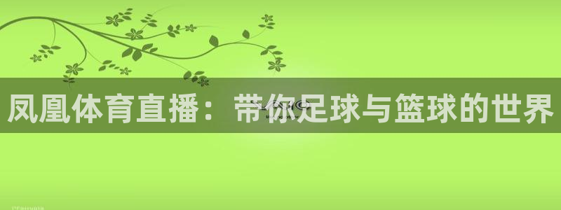 凤凰体育直播：带你足球与篮球的世界